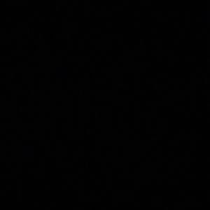 Meet your Posher, Deangelo